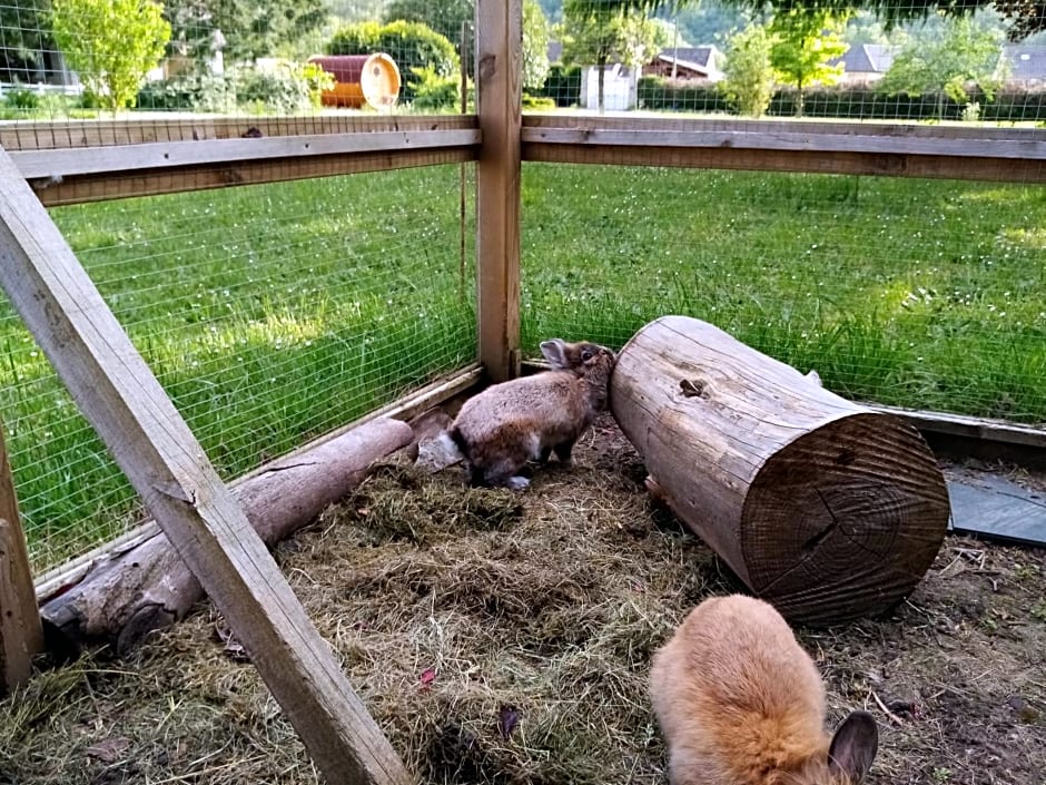 Havre de paix au bords de l'Eure - divers hébergements