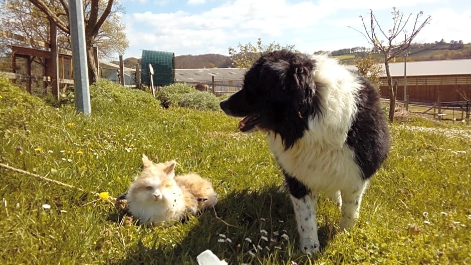 Ferme des Capellous