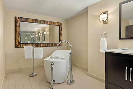 1 Bedroom Presidential Suite, 1 King