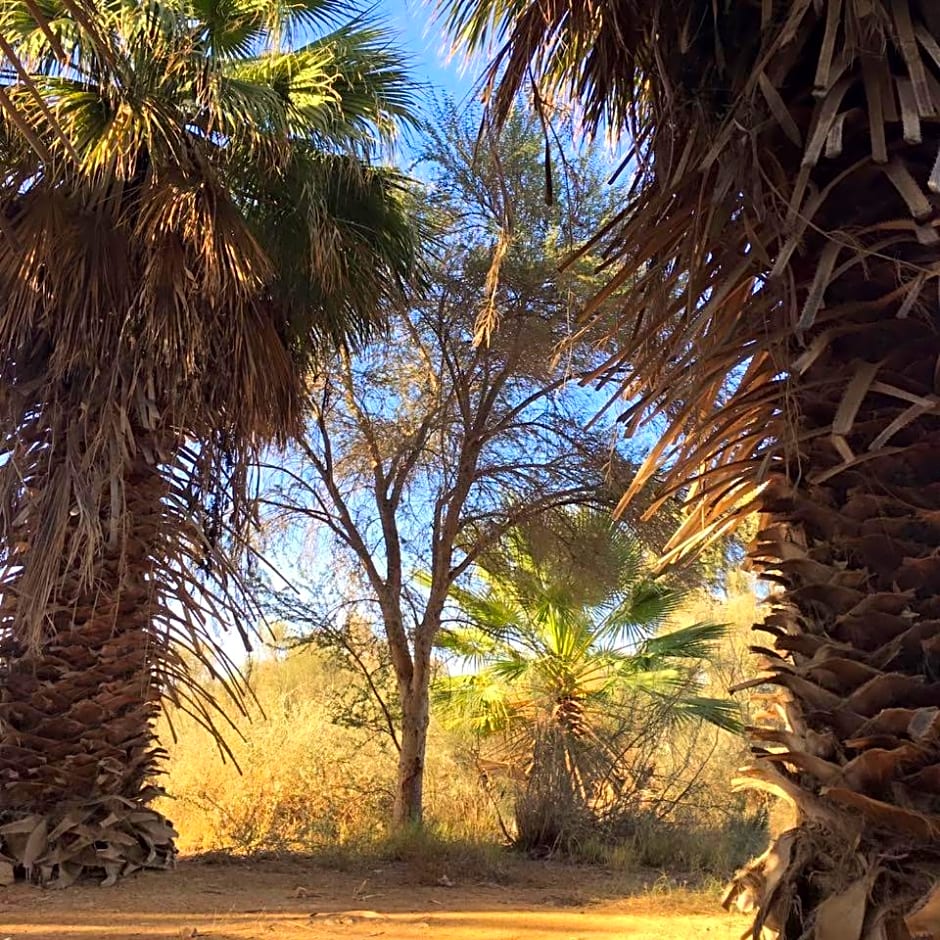 המצפה-אירוח מדברי בעזוז