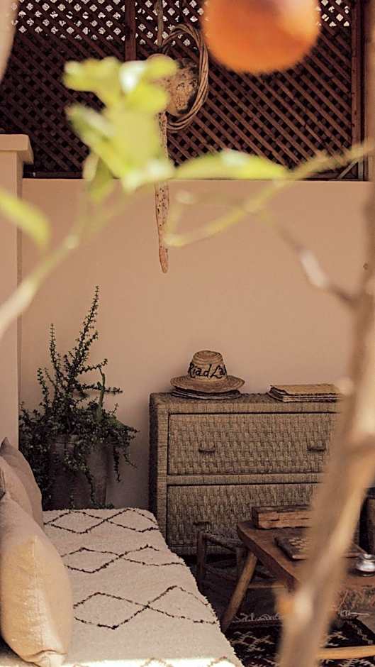 Riad Laly Tourisme Eclairé Le bijou de la medina