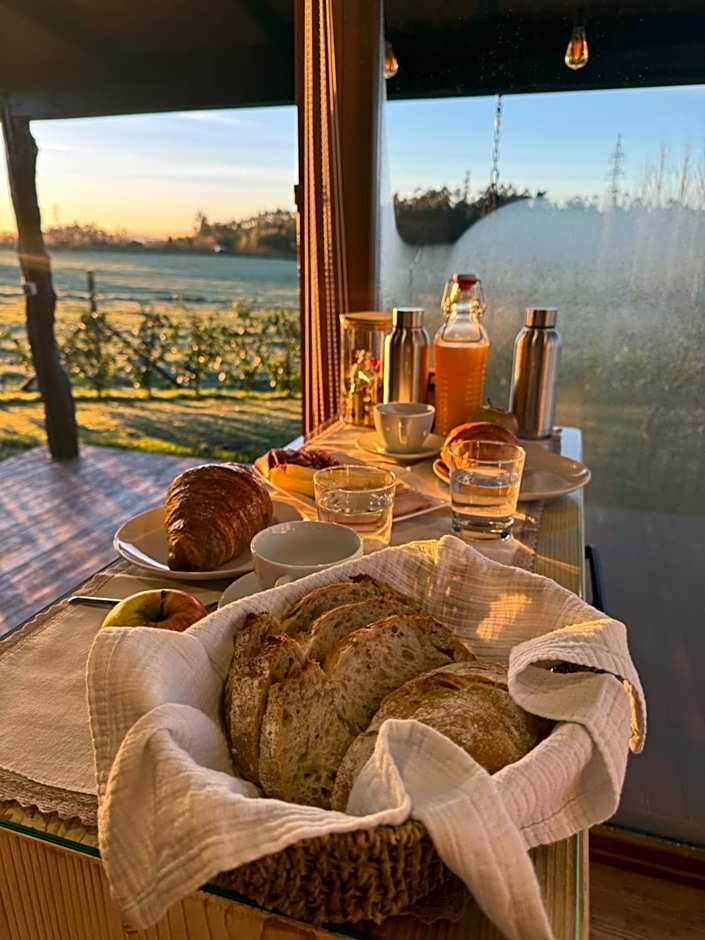 O REFUXIO DOS CEBREIROS