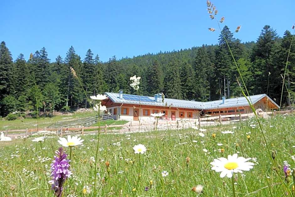 Hotel Fai