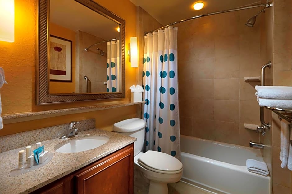 TownePlace Suites by Marriott Houston Intercontinental Airport