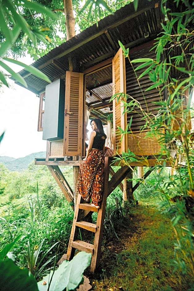 Bird Hills Bamboo House