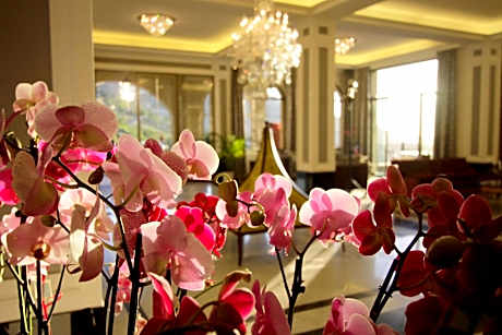 Cherry Blossom Boutique Hotel