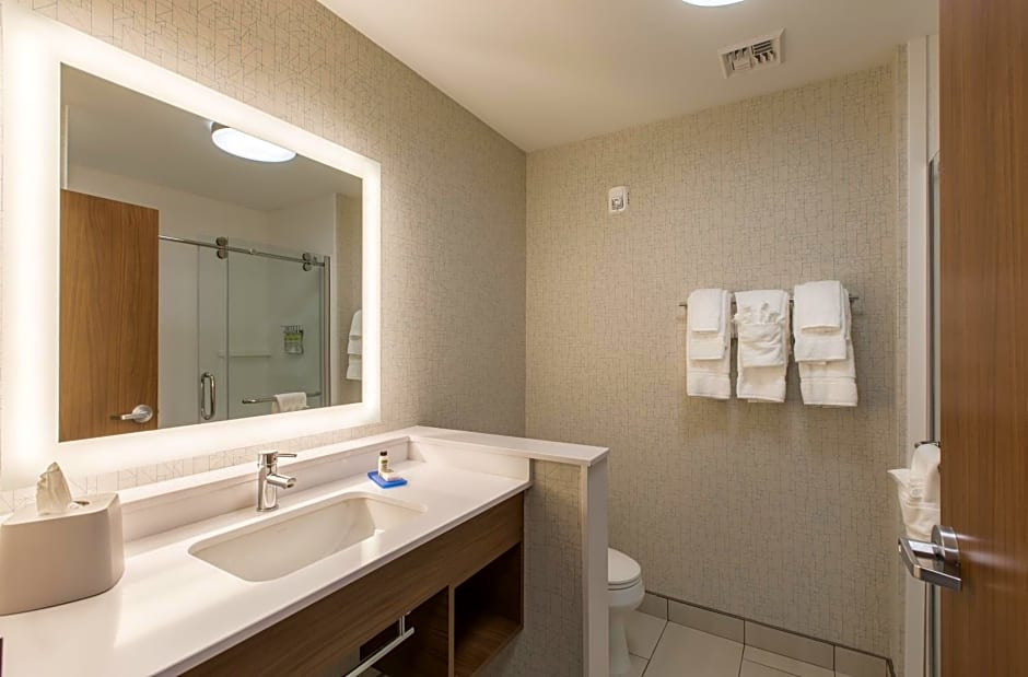 Holiday Inn Express & Suites Greenville S - Piedmont