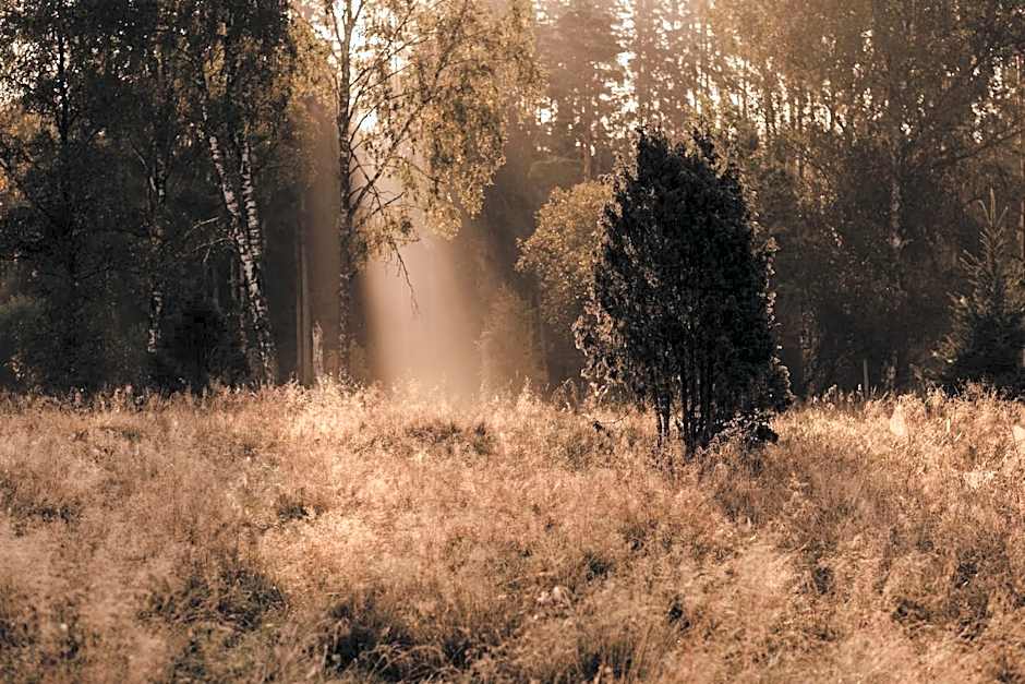 Stiftsgården Tallnäs