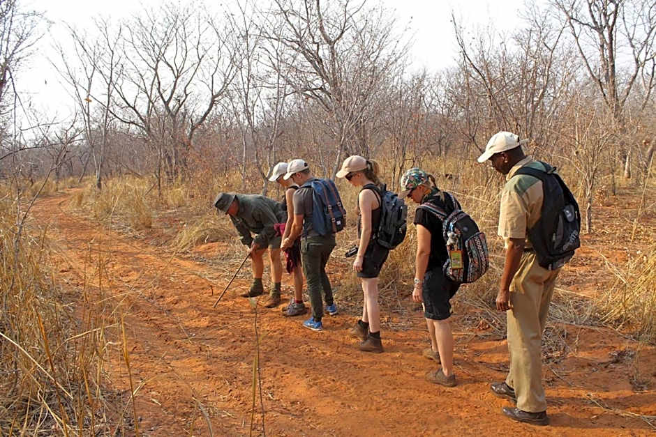 Kingfisher Creek Safari Lodge