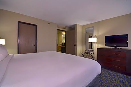 One-Bedroom King Suite