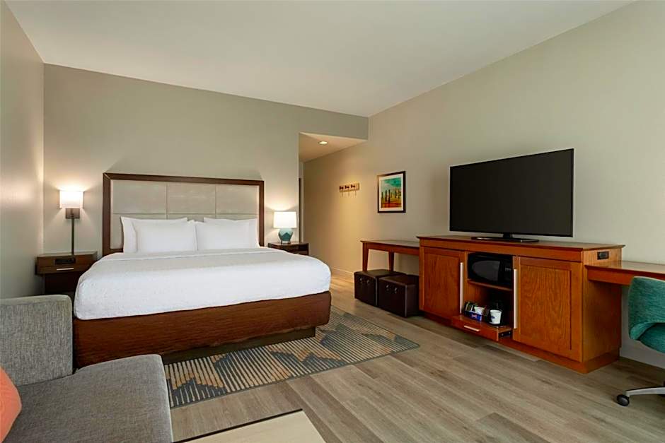 Hampton Inn - Suites by Hilton Tampa Busch Gardens Area