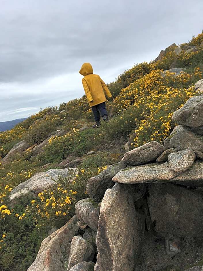 Mountain Log Cabin O Lobo