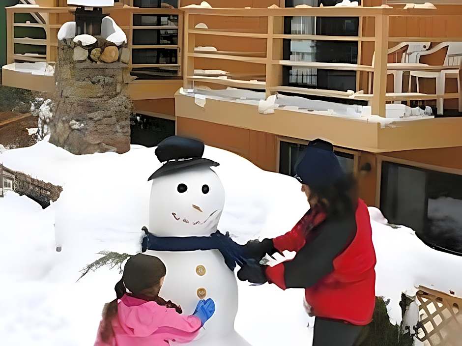 Big Bear Lake Front Lodge