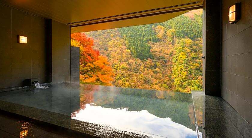 Wanoyado Hotel Iya Onsen Natural Hot Spring