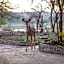 Foxy Crocodile Bush Lodge & Kruger Safaris