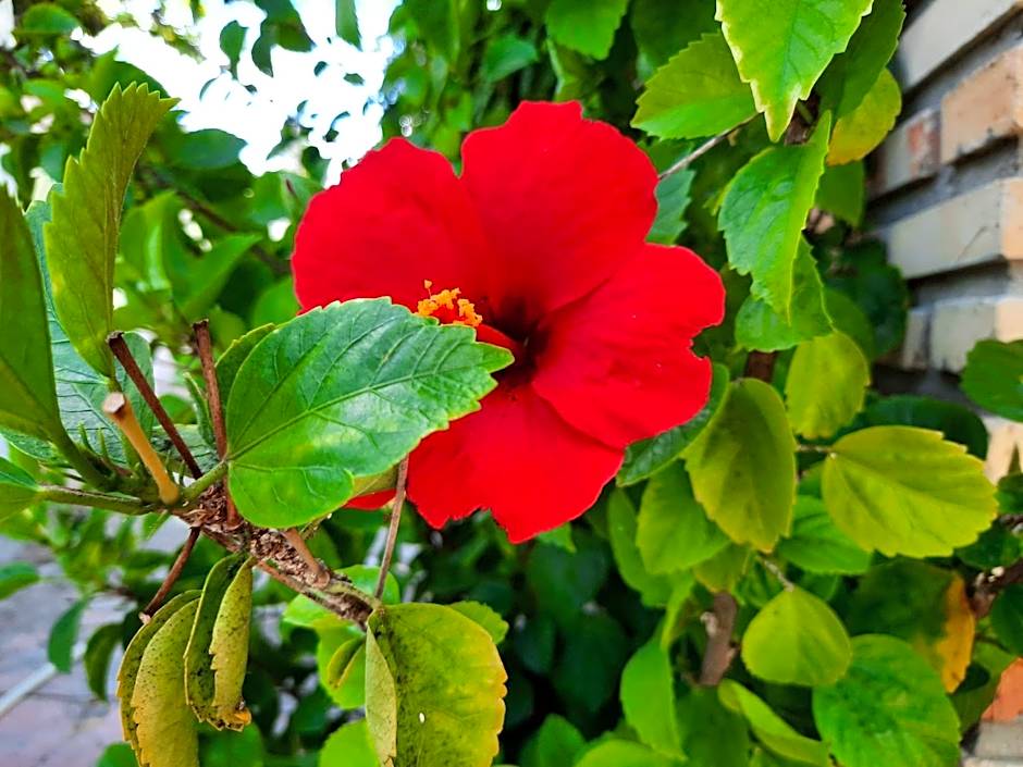 Pousada dos Anjos Paracuru