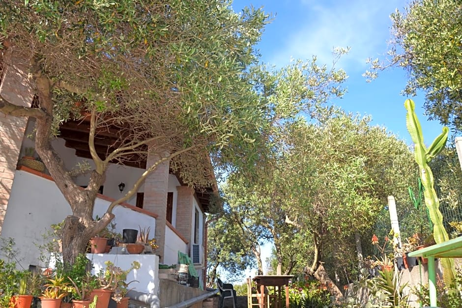 Mi casa es tu casa 79