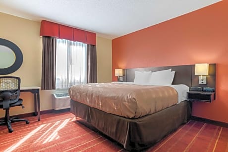 1 King Bed, Suite, Nonsmoking