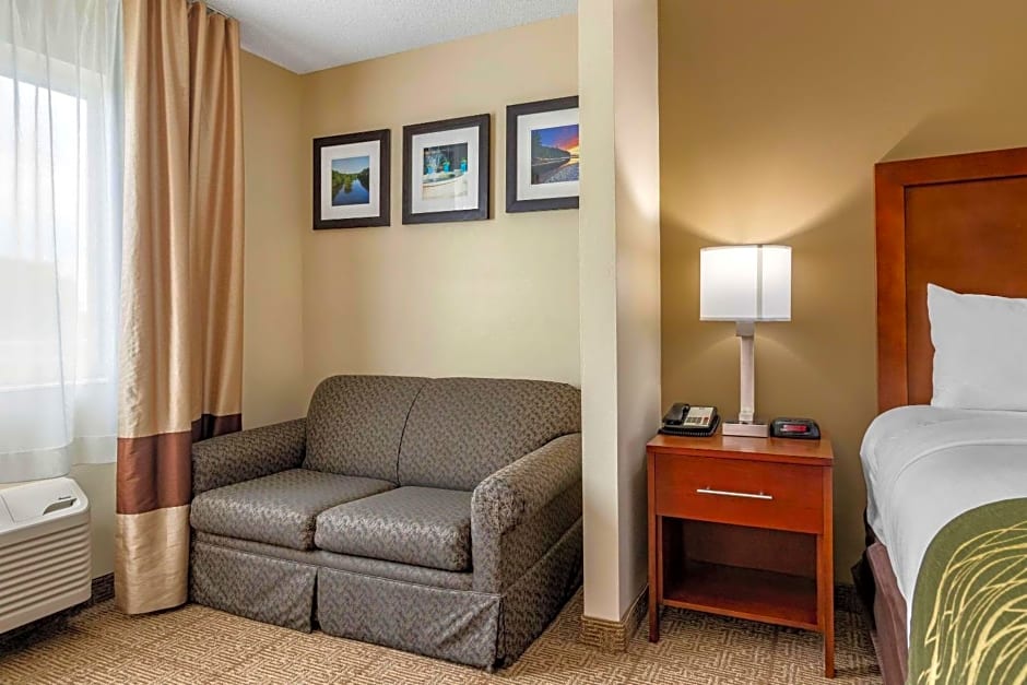 Comfort Inn & Suites Dimondale - Lansing