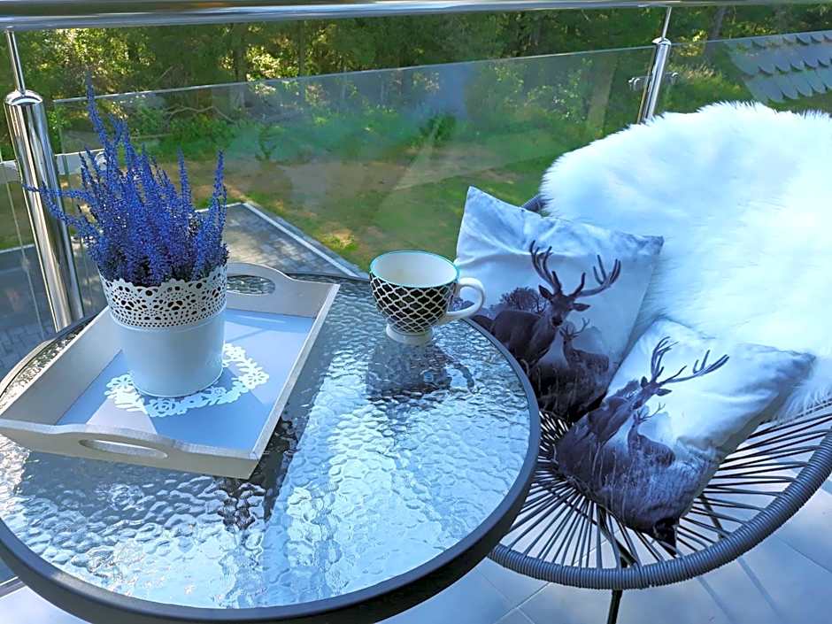 Saskia Dwór & Spa Willa z basenem