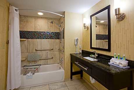 1 King Standard Comm Accessible Tub