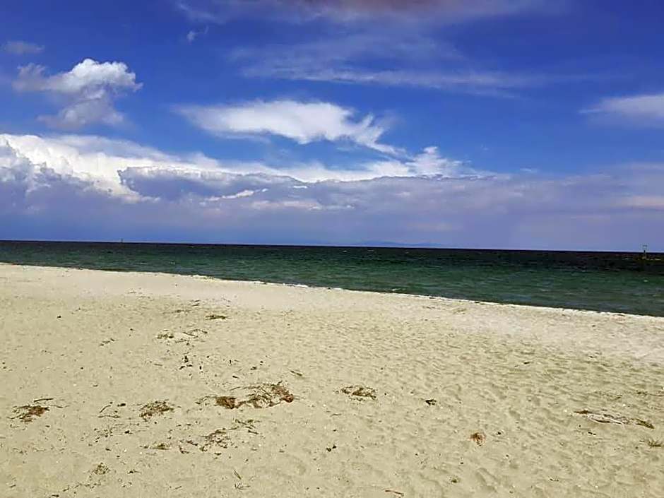 Hotel Zografos