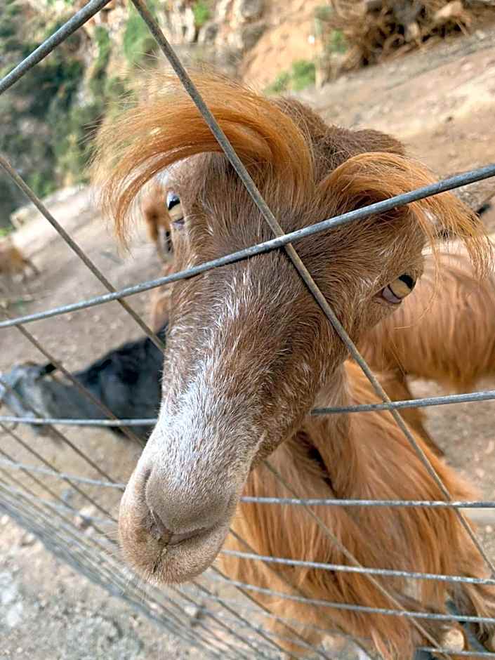 Infinity Wellness Boutique Hotel