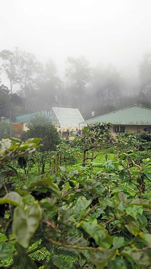 Ibex Resorts, Valparai Mistly