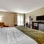 Comfort Inn near Downtown & Blue Ridge PKWY