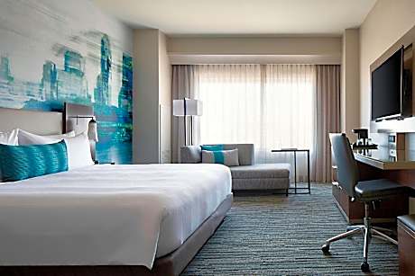 Room, 1 King Bed (Mobility Accessible, Roll-in Shower)