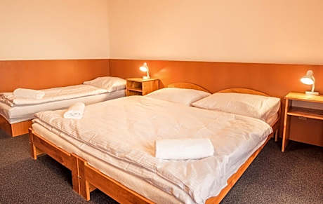 Triple Room with Mountain View