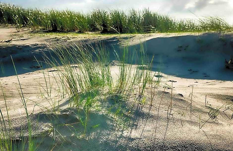 INSEL-LAND-HOTEL MICHAELSEN -Boutique Hotel- im Ostland mit Yoga u Sauna