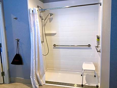 Suite - Disability Access Roll in Shower/Non-Smoking