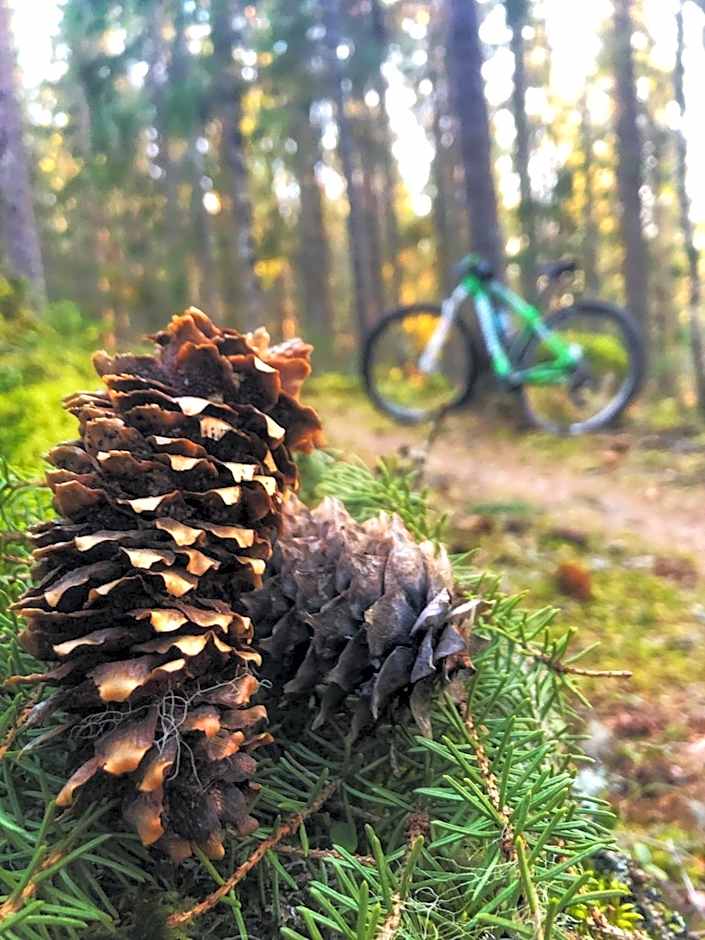 Snöå Bruk Hotell och konferens