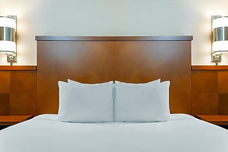 King Room with Sofa Bed and Roll-In Shower - Disability Access