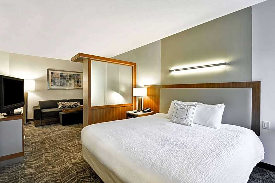 SpringHill Suites by Marriott Tallahassee Central