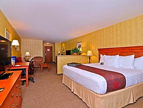 King Standard Room