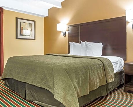 1 King Bed, Suite, Nonsmoking