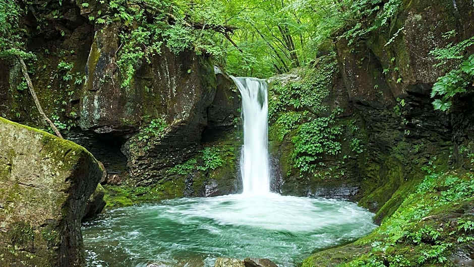 TAOYA Nasu Shiobara