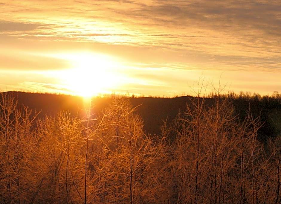 Moonlight Inn & Suites