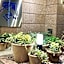 Toyoko Inn Tokyo Omori