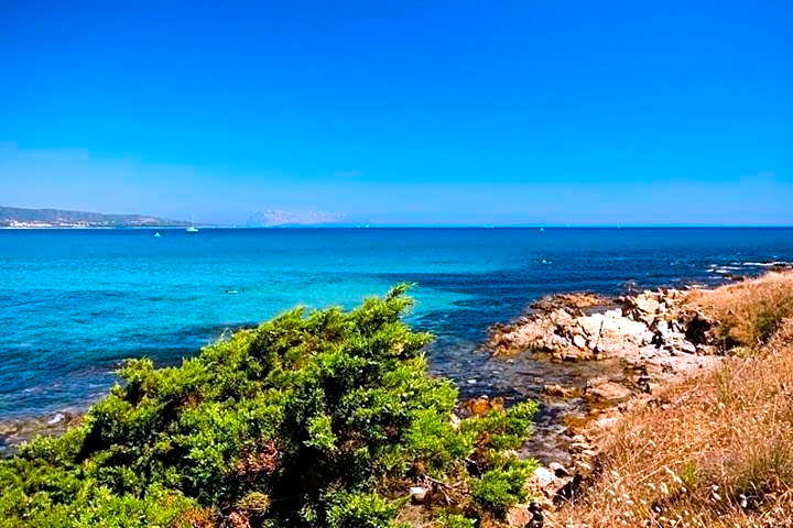 Appartamenti Tanaunella