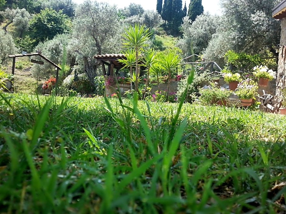 Agriturismo L'Uliveto