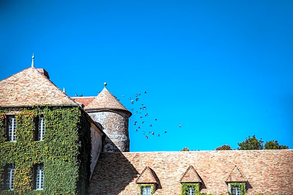 Chateau De Villiers-Le-Mahieu