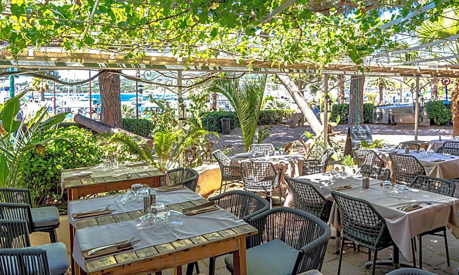 Hotel Les Palmiers
