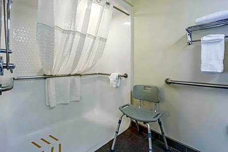 Efficiency Queen Room - Accessible/Non-Smoking