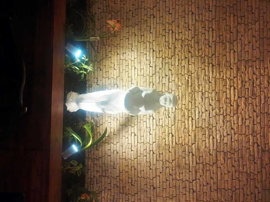 Family Hotel Alfa Vita