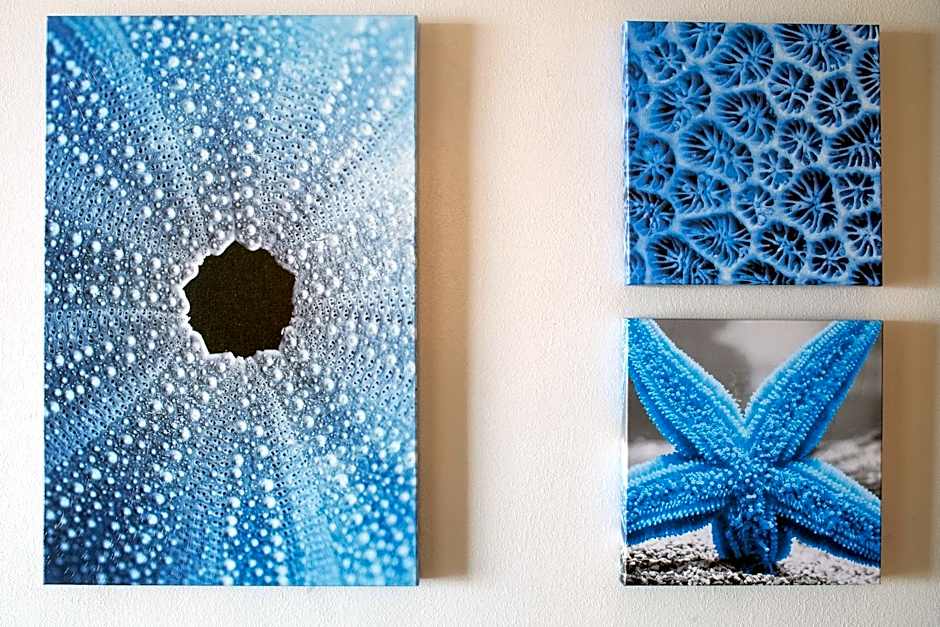 Hollywood Beach Marriott