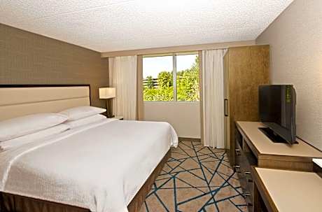 Premium King Suite - Non-Smoking