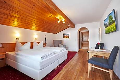 Double Room with Balcony and Mountain View